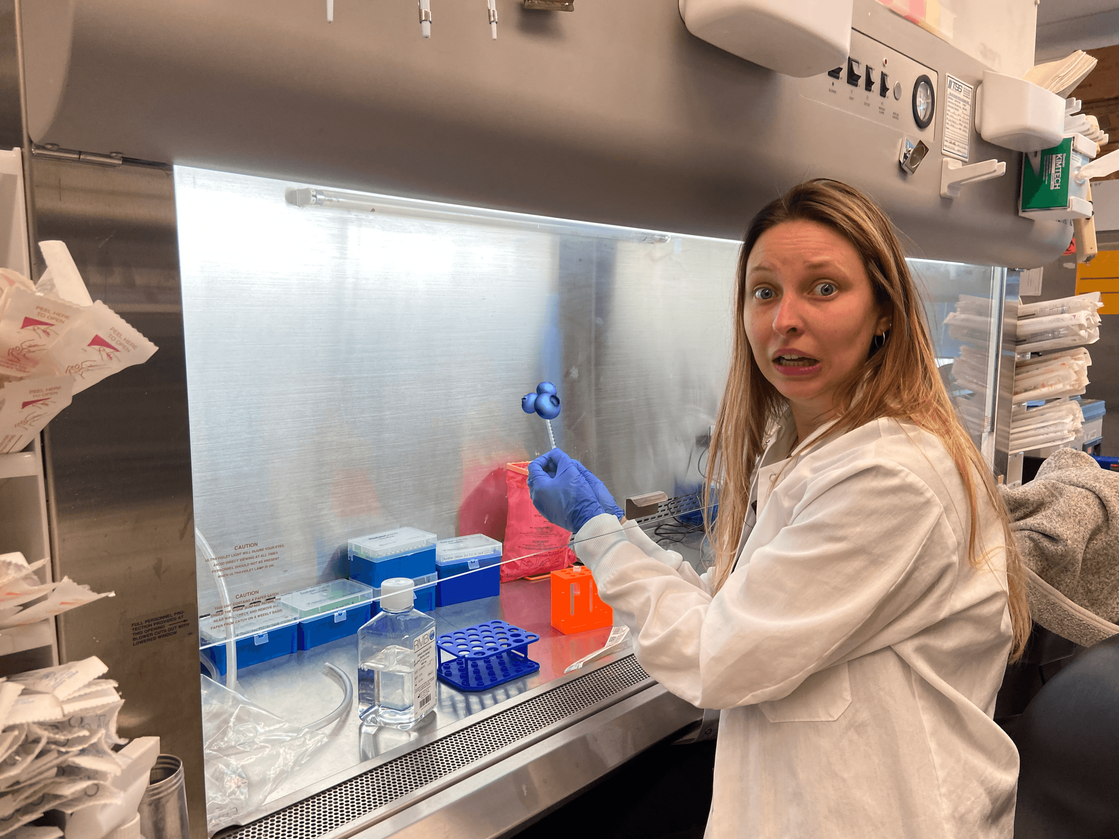 Taskmaster - Image 4